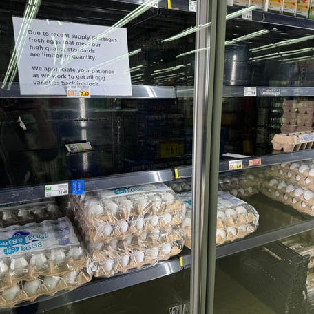 Egg shelves were slightly barren at a Nashville Kroger as avian flu caused shortages nationwide.