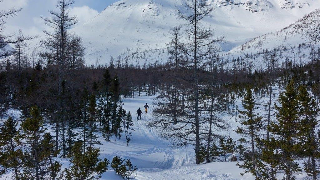 Backcountry skiers hike the Chic-Choc mountains in the region of GaspÃ©sie in Quebec, Canada, on March 2, 2019. - Sunny weather and cool temperatures allowed skiers to enjoy the March snow in this eastern region of Quebec where several meters of snow fall each year. (Photo by Julien BESSET / AFP) (Photo credit should read JULIEN BESSET/AFP via Getty Images)