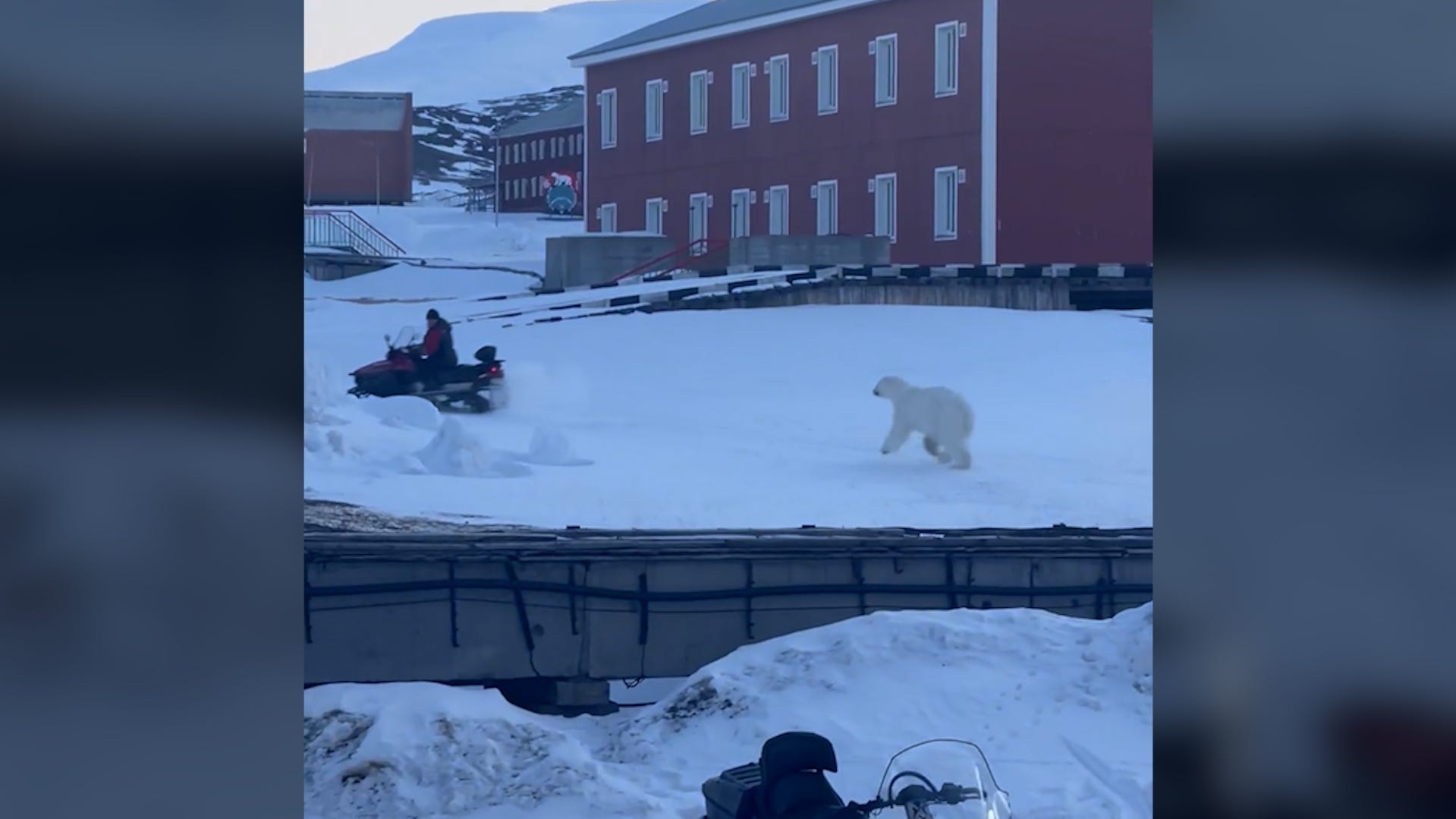 Terrifying moment man tries to outrun a polar bear on snowmobile