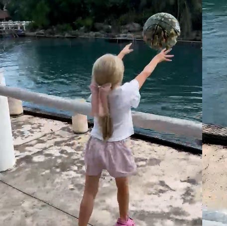 Curious 6-year-old and playful dolphin share impromptu game of catch