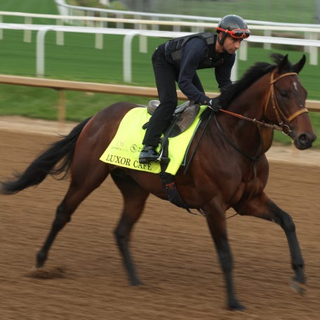 Luxor Cafe runs on the track during the morning training in preparation for the 151th Kentucky Derby at Churchill Downs on April 29, 2025 in Louisville, Kentucky.