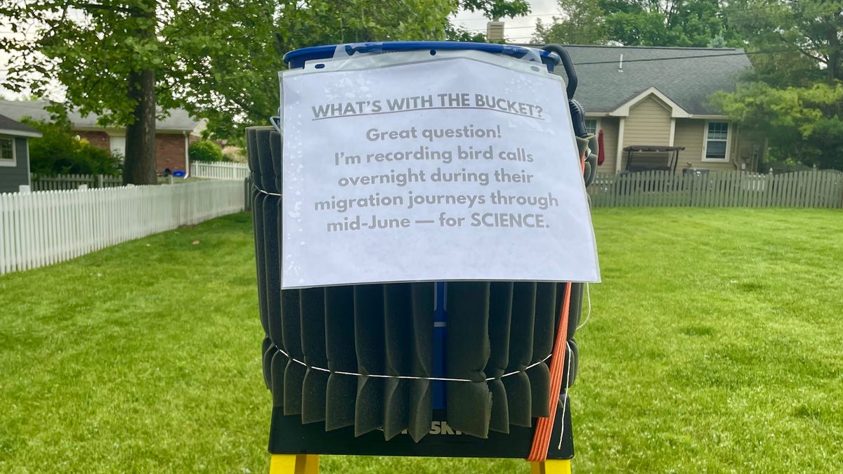As you slept, millions of birds flew over Indiana. Here's why and where ...