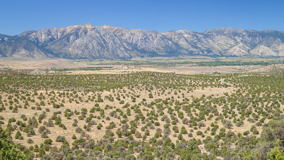 Nevada third for federal oil potential in new study, but industry growth still unlikely Nevada third for federal oil potential in new study, but industry growth still unlikely