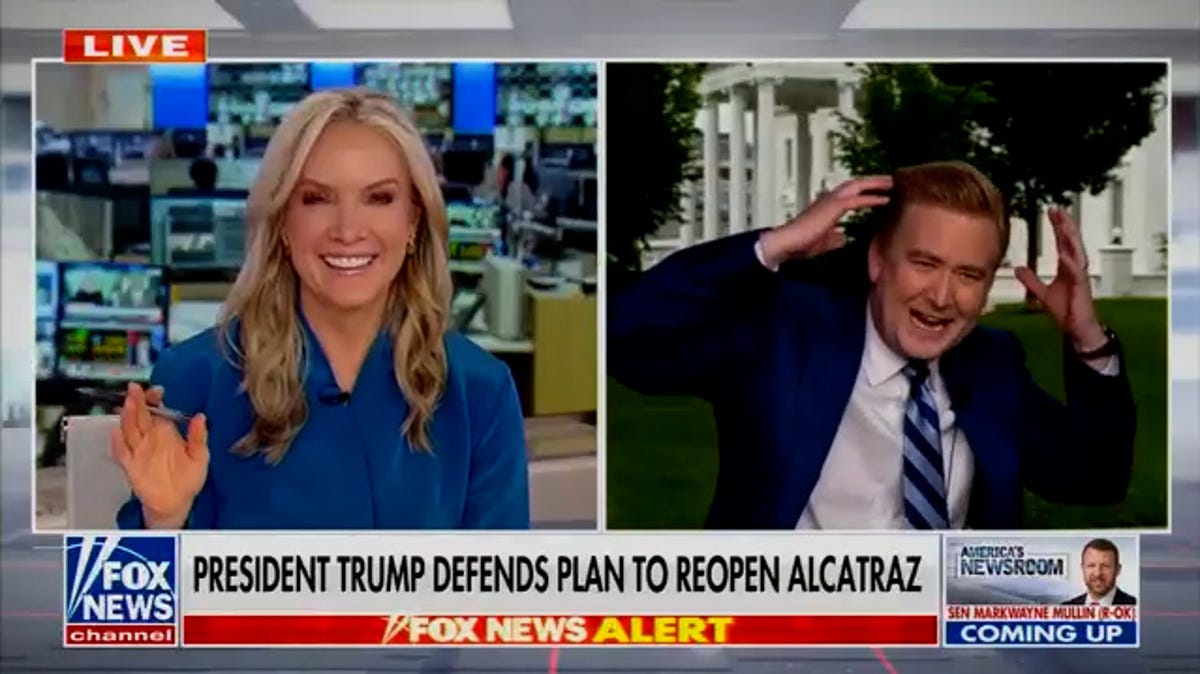 'What's going on?' Another bird crashes Peter Doocy's live shot on Fox News