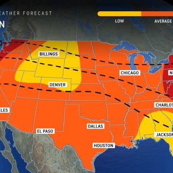 A high risk of grass pollen is expected during the 2025 summer months in New York.
