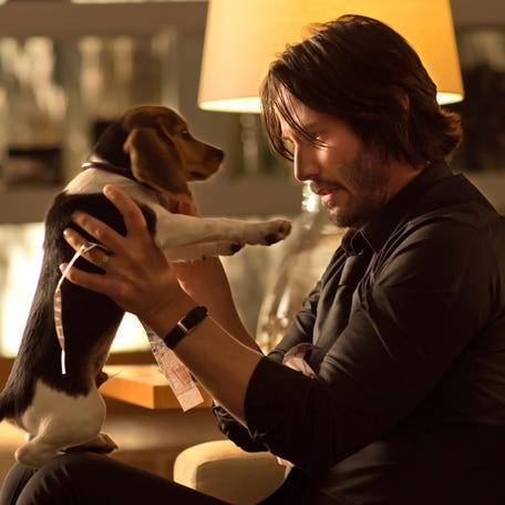 The death of his puppy sends ex-hitman John Wick (Keanu Reeves) on a quest of violence and vengeance in the original 2014 action movie "John Wick."