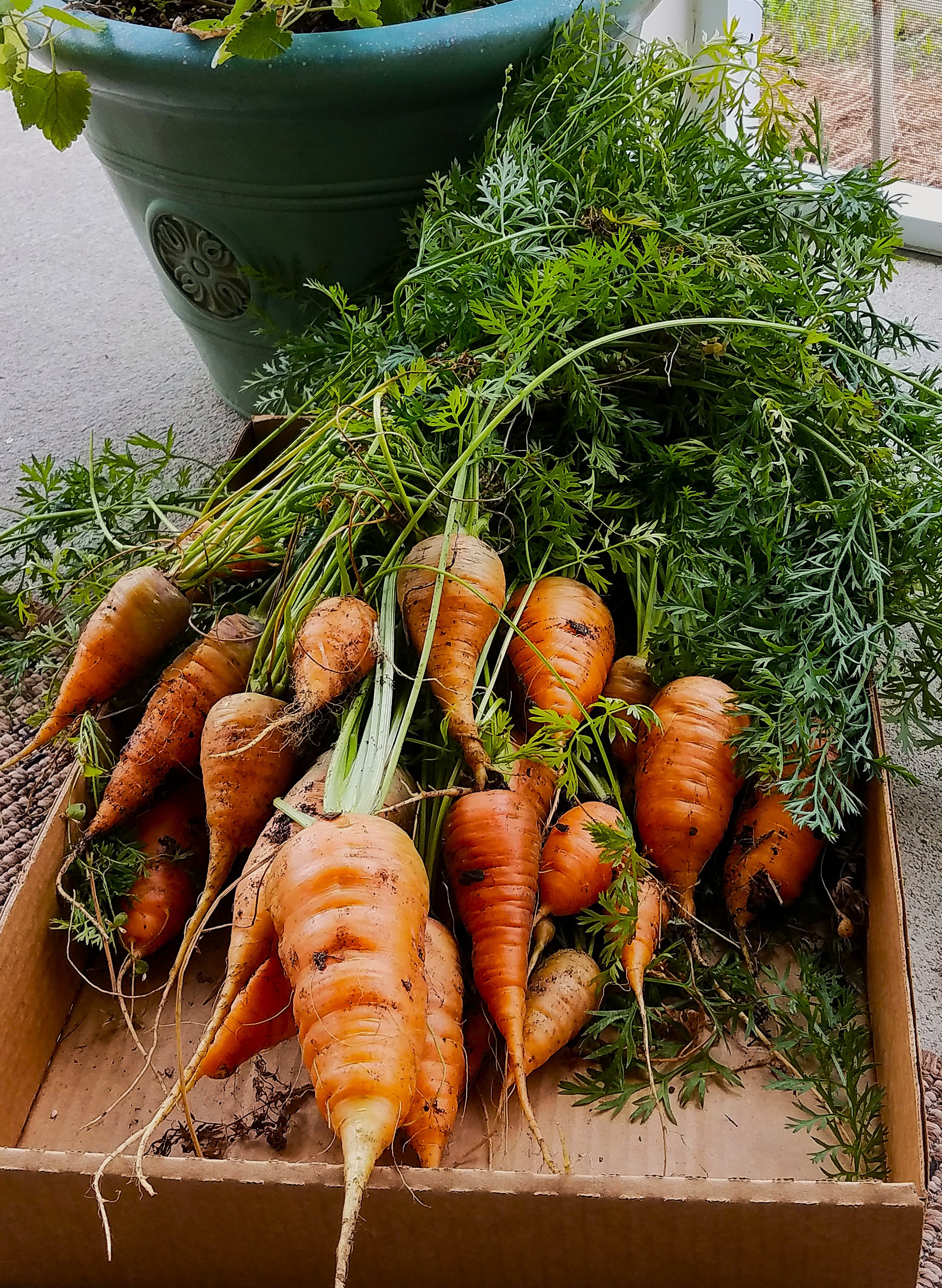 Top 5 recommendations for healthier living habits in 2026