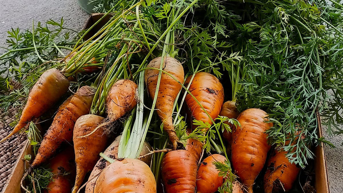 Top 5 recommendations for healthier living habits in 2026 Top 5 recommendations for healthier living habits in 2026