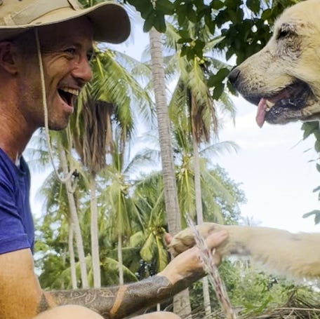 After a near-death experience, Niall Harbison created a dog sanctuary in Thailand to treat, save, and rehouse street dogs.