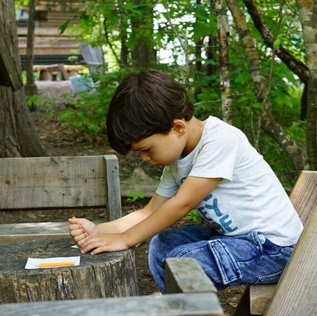 Kids at the North Carolina Botanical Garden can write notes to fairies.