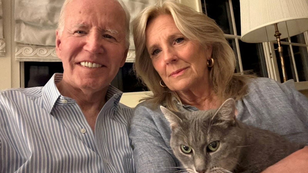 Usa Biden