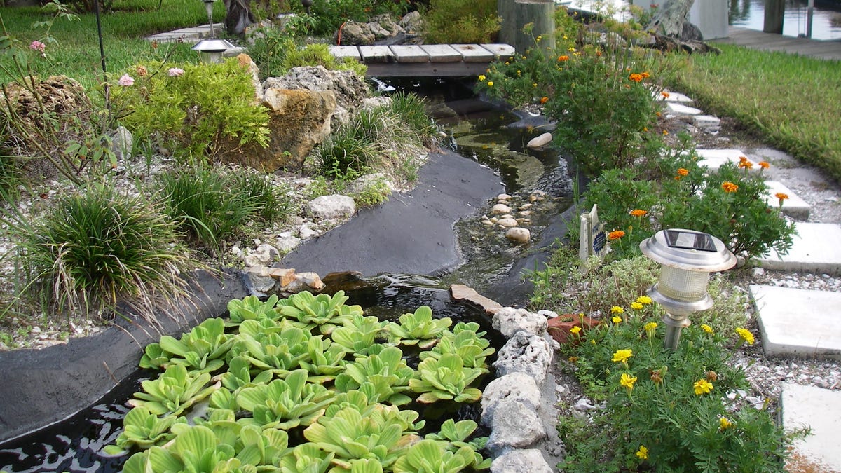 Creating a water feature for your yard Creating a water feature for your yard