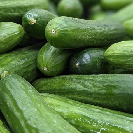A stock image of cucumbers. These are not the cucumbers subject to a recall.