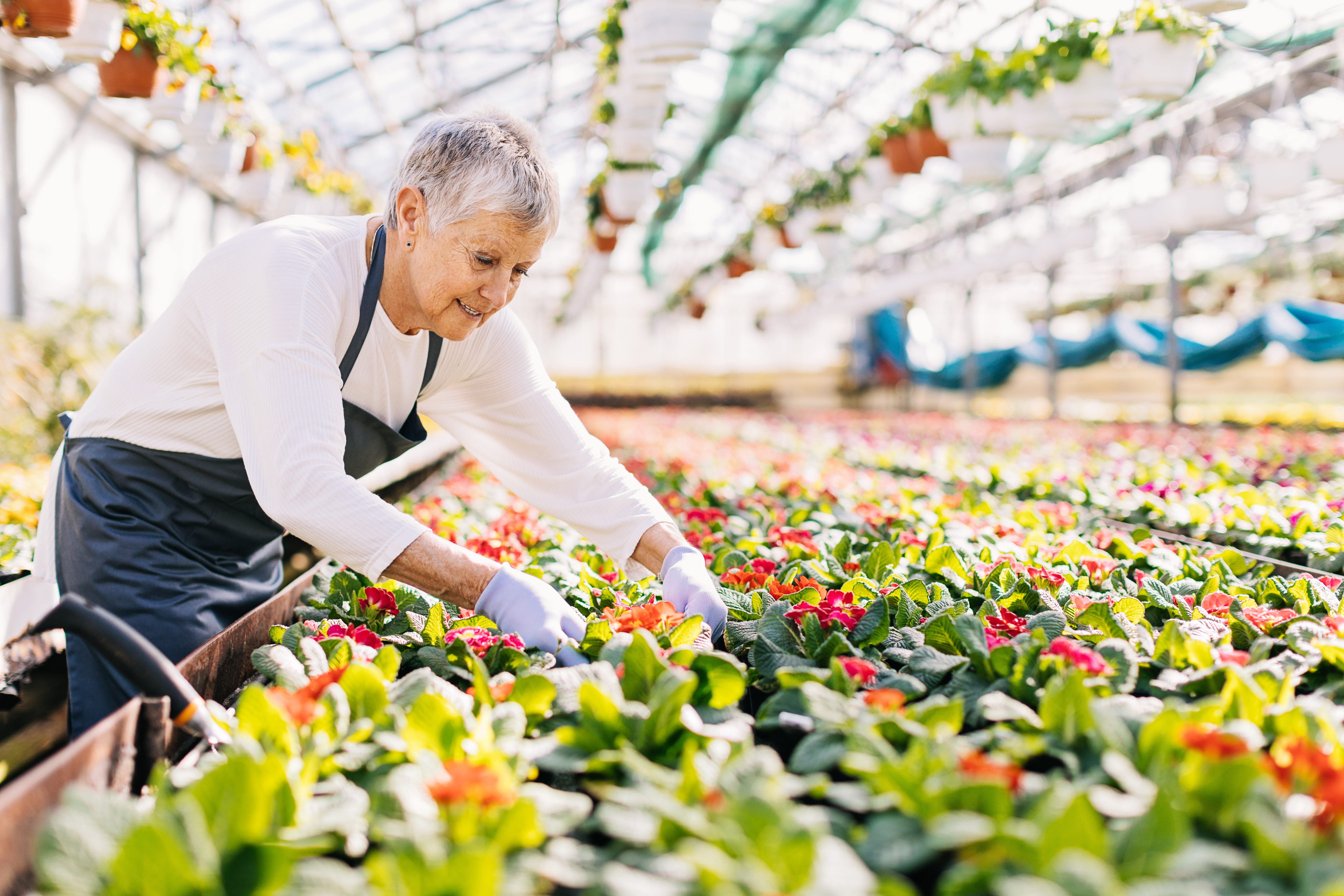 Most Americans expect to keep working in retirement. Few retirees actually work.