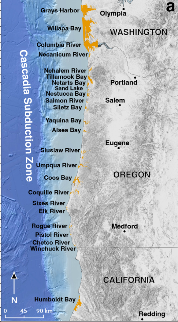 Ein Tsunami, der niemals endet? Studie hebt drohendes Risiko an der ...