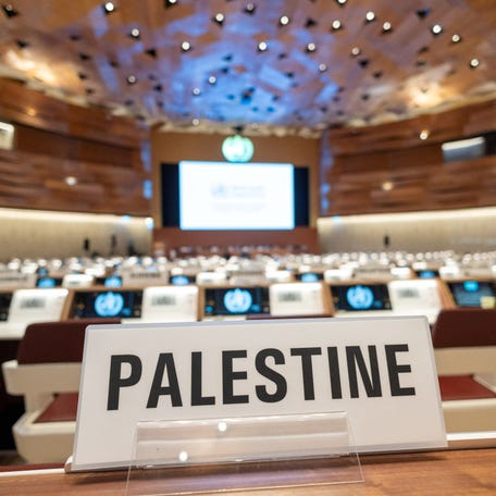 The name of Palestine is seen before a session called Health Conditions in the Occupied Palestinian Territory, at the World Health Assembly at the United Nations in Geneva, Switzerland, May 29, 2024.