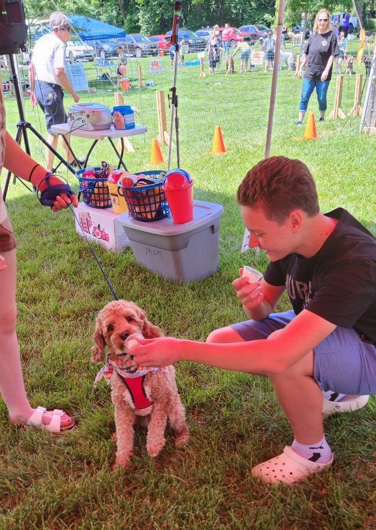Bark in the Park: A Celebration for Pet Lovers in Charles Town