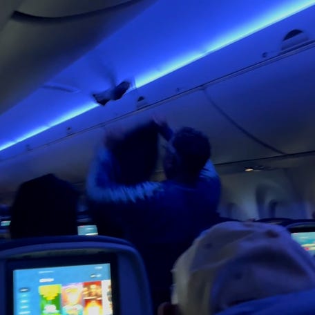 Passenger onboard the delayed flight attemtped to catch the bird with his sweater.