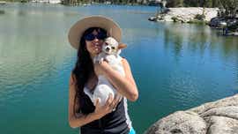 Summer hiking tips: Is it too hot to walk your dogs in California?