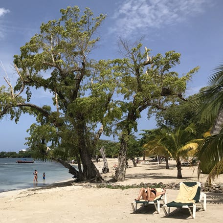 Tourists relax under a tree on Negril beach in Jamacia on May 20, 2017.