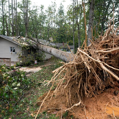 ASHEVILLE, NORTH CAROLINA - SEPTEMBER 28: A fallen tree on a home in the aftermath of Hurricane Helene on September 28, 2024 in Asheville, North Carolina. (Photo by Sean Rayford/Getty Images)