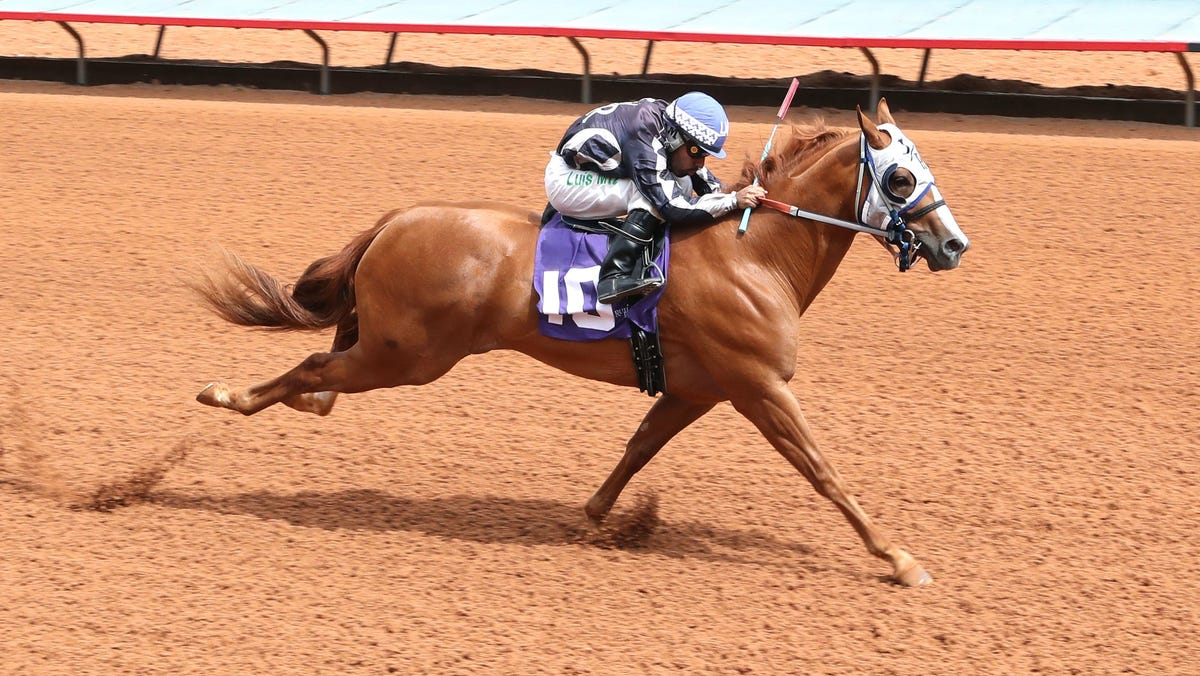 The 2025 Ruidoso Futurity and Ruidoso Derby highlight weekend racing at Ruidoso Downs The 2025 Ruidoso Futurity and Ruidoso Derby highlight weekend racing at Ruidoso Downs