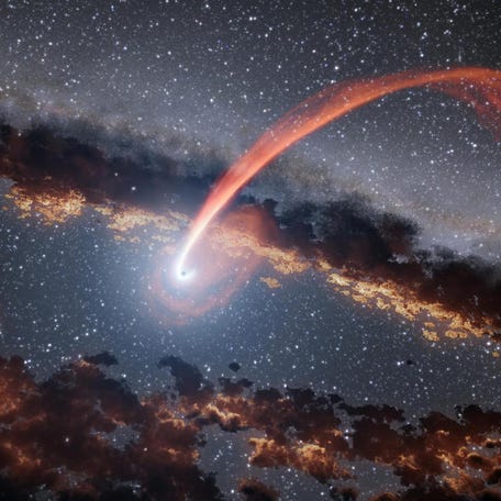 This illustration shows a glowing stream of material from a star as it is being devoured by a supermassive black hole. When a star passes within a certain distance of a black hole - close enough to be gravitationally disrupted - the stellar material gets stretched and compressed as it falls into the black hole.
