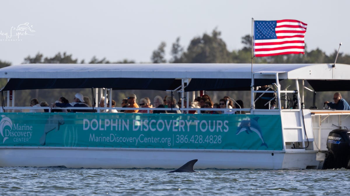 Marine Discovery Center in NSB honored nationally for boat tours Marine Discovery Center in NSB honored nationally for boat tours