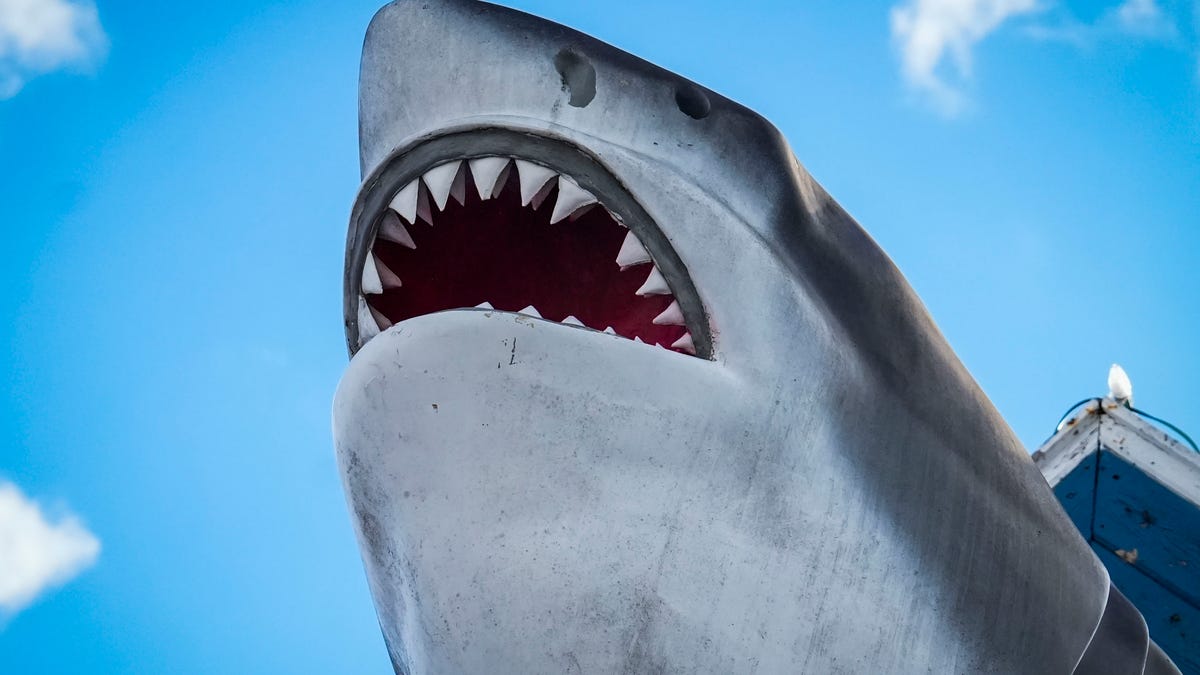 Maryland Names Megalodon State Shark; Delaware Considers Follow‑Up Legislation