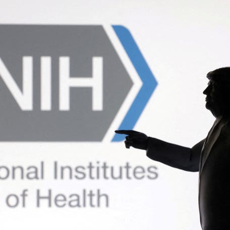 FILE PHOTO: A 3D-printed miniature model of U.S. President Donald Trump with the National Institutes of Health (NIH) logo in the background is seen in this illustration taken April 23, 2025. REUTERS/Dado Ruvic/Illustration/File Photo