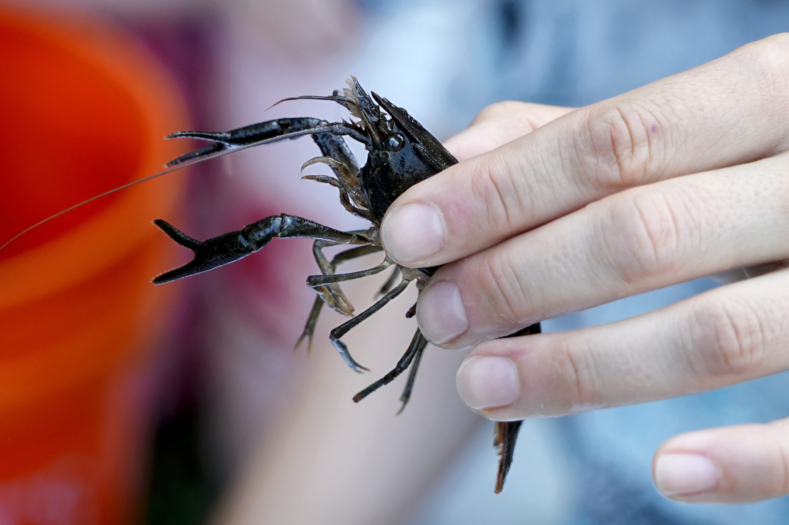 From Office Life to Nature’s Embrace: A Journey of Transformation