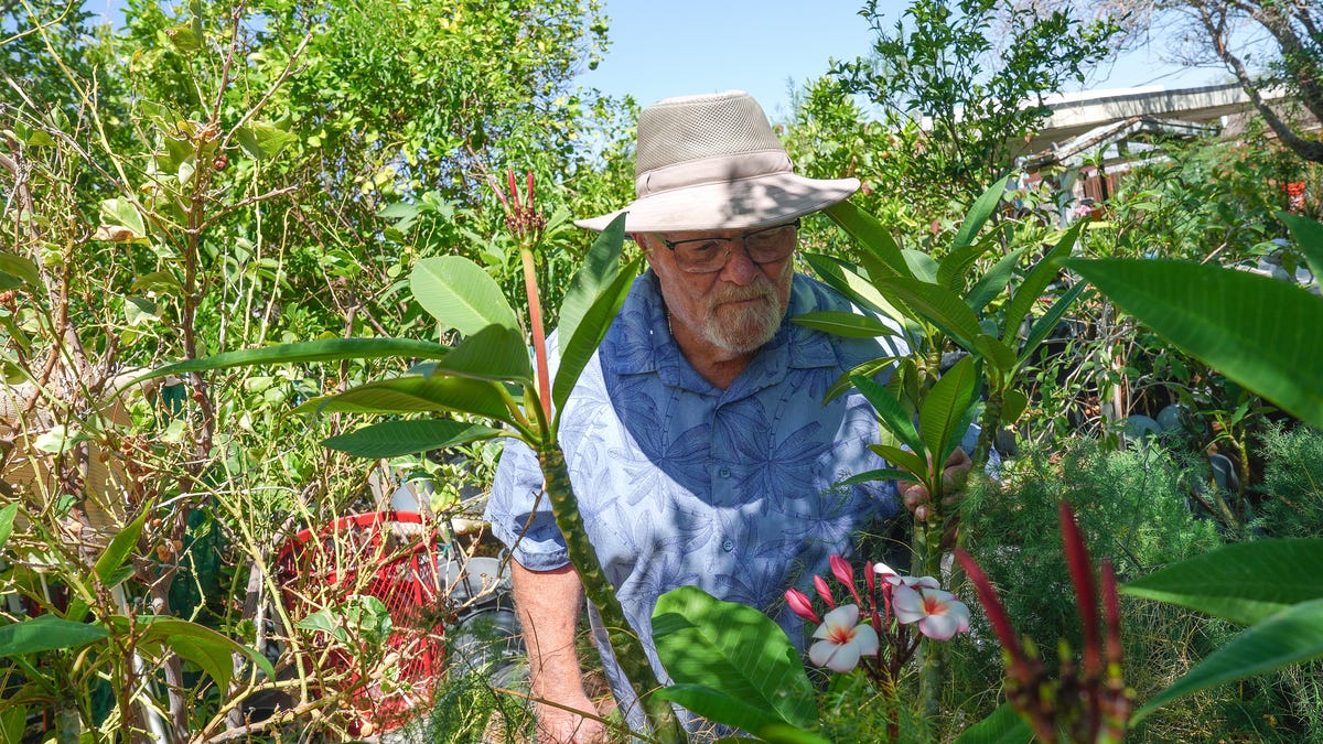 Gardening in Palm Springs heat? It’s possible, with these tips Gardening in Palm Springs heat? It’s possible, with these tips