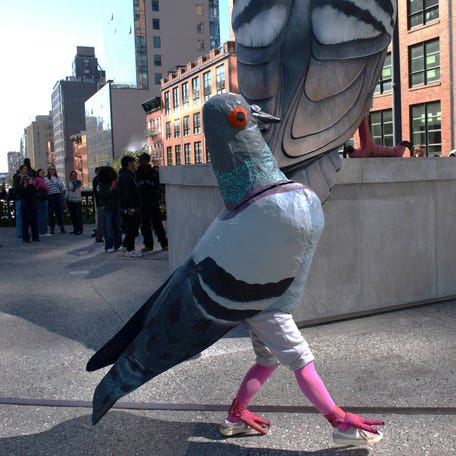 Pigeon impersonators wear full plumage to first contest for NYC's unofficial mascot