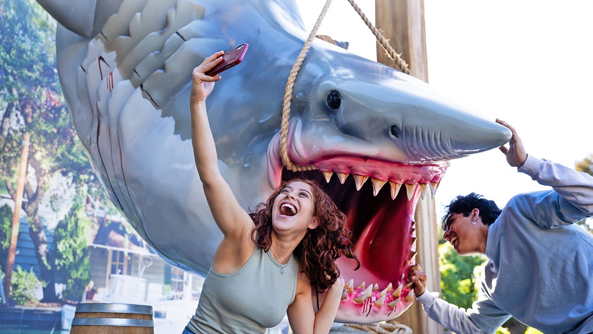 Universal Studios Hollywood has brought its hanging shark back out for the 50th anniversary of "Jaws" and the park's Mega Movie Summer.