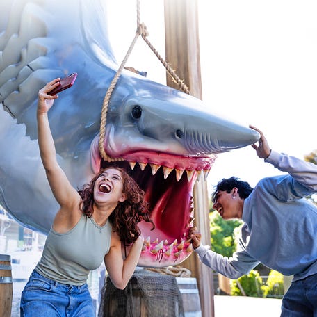Universal Studios Hollywood has brought its hanging shark back out for the 50th anniversary of "Jaws" and the park's Mega Movie Summer.