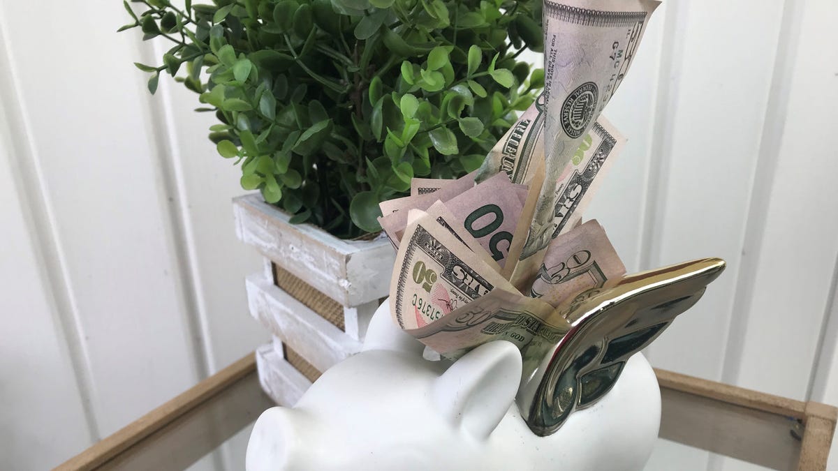 A piggy bank pictured with cash.