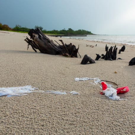 Plastic bag litter on a Florida beach in 2019.
