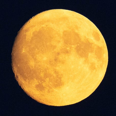 Nearly full moon known as the "Buck Moon" is seen above a lake near Marksewo, Poland, July 19, 2024.