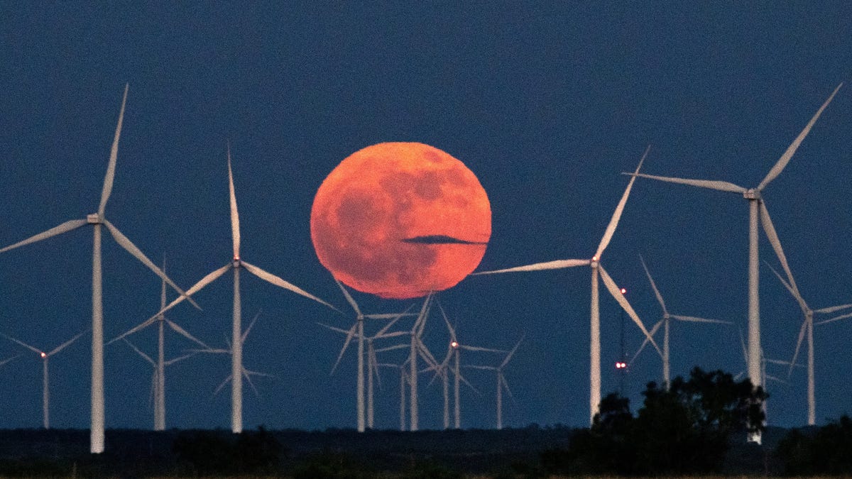 The moon rises behind the Buffalo Gap Wind Farm wind turbines on Friday June 21, 2024.