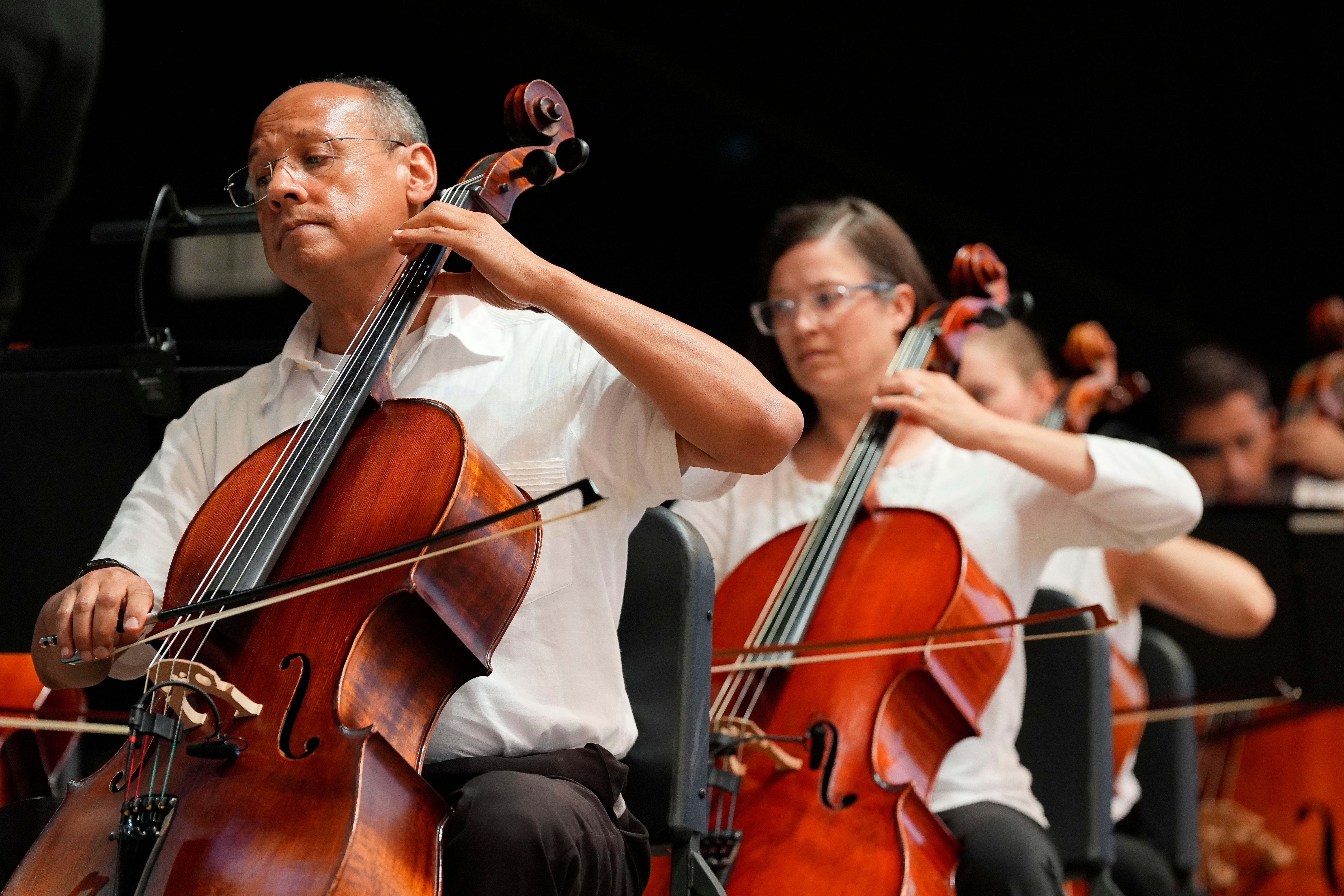 Tuscaloosa Symphony Orchestra announces 'Home Alone' in concert