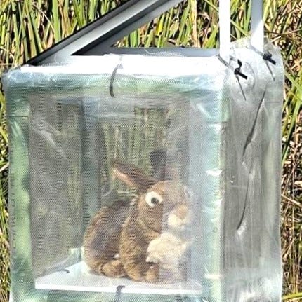 A toy stuffed rabbit was retrofitted with mechanics and a heater that make it move like a real rabbit and give off a similar body temperature. University of Florida researchers are experimenting with the robot bunny to see if it attracts invasive Burmese pythons.