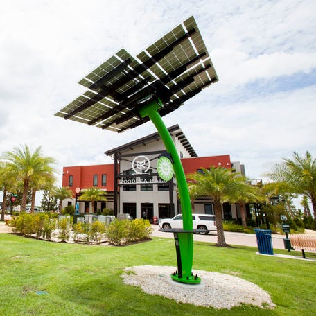 Solar trees at Babcock Ranch near Punta Gorda, Florida, in 2017.