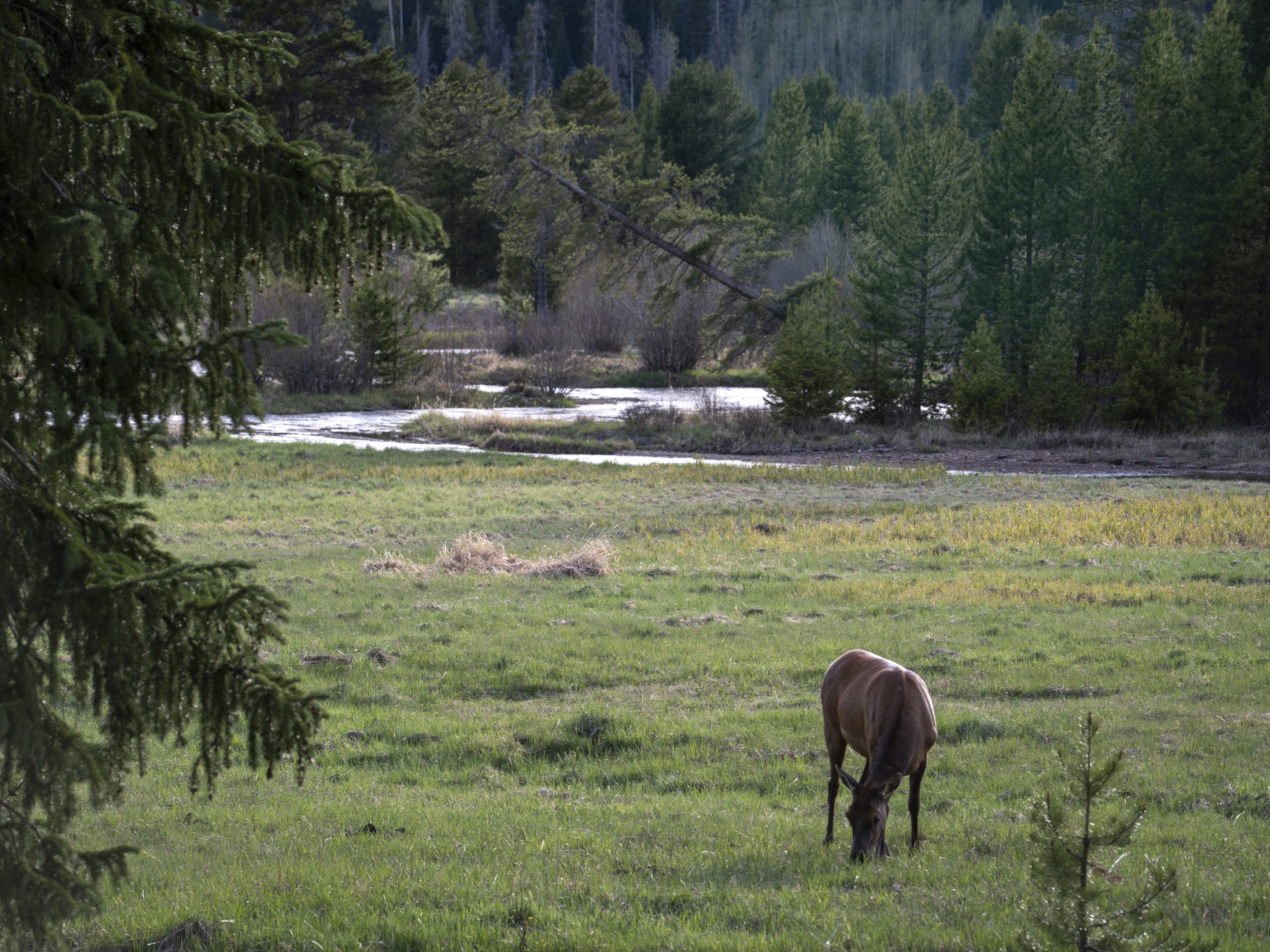 85272760007-snow-004.jpg?crop=3466,2599,x433,y0