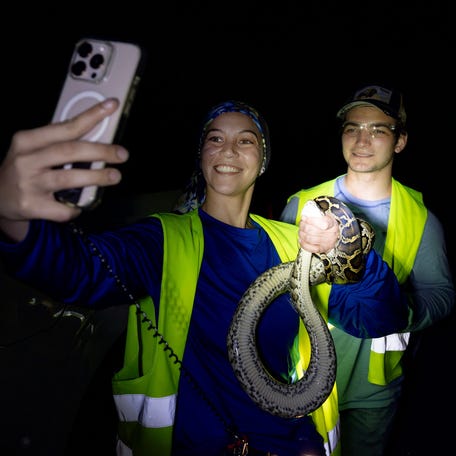 South Florida Water Management District contract python hunter Kris Bartish, left, documents a Burmese python capture with her assistant Henry Amador in the Big Cypress National Preserve on Saturday, July 19, 2025.