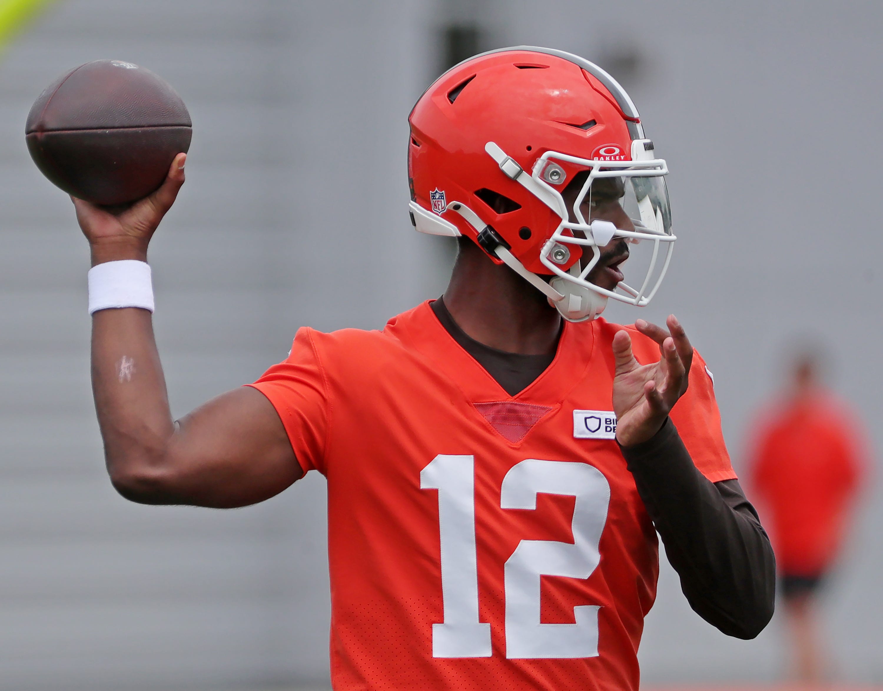 Browns alienate fans by leading NFL in domestic violence-related arrests | Ulrich – Akron Beacon Journal