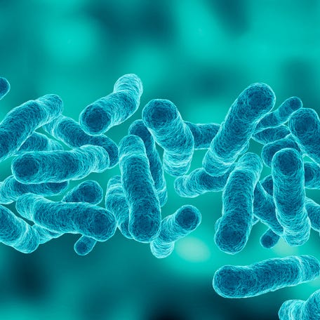 Legionella is the bacteria that causes Legionnaires' disease.