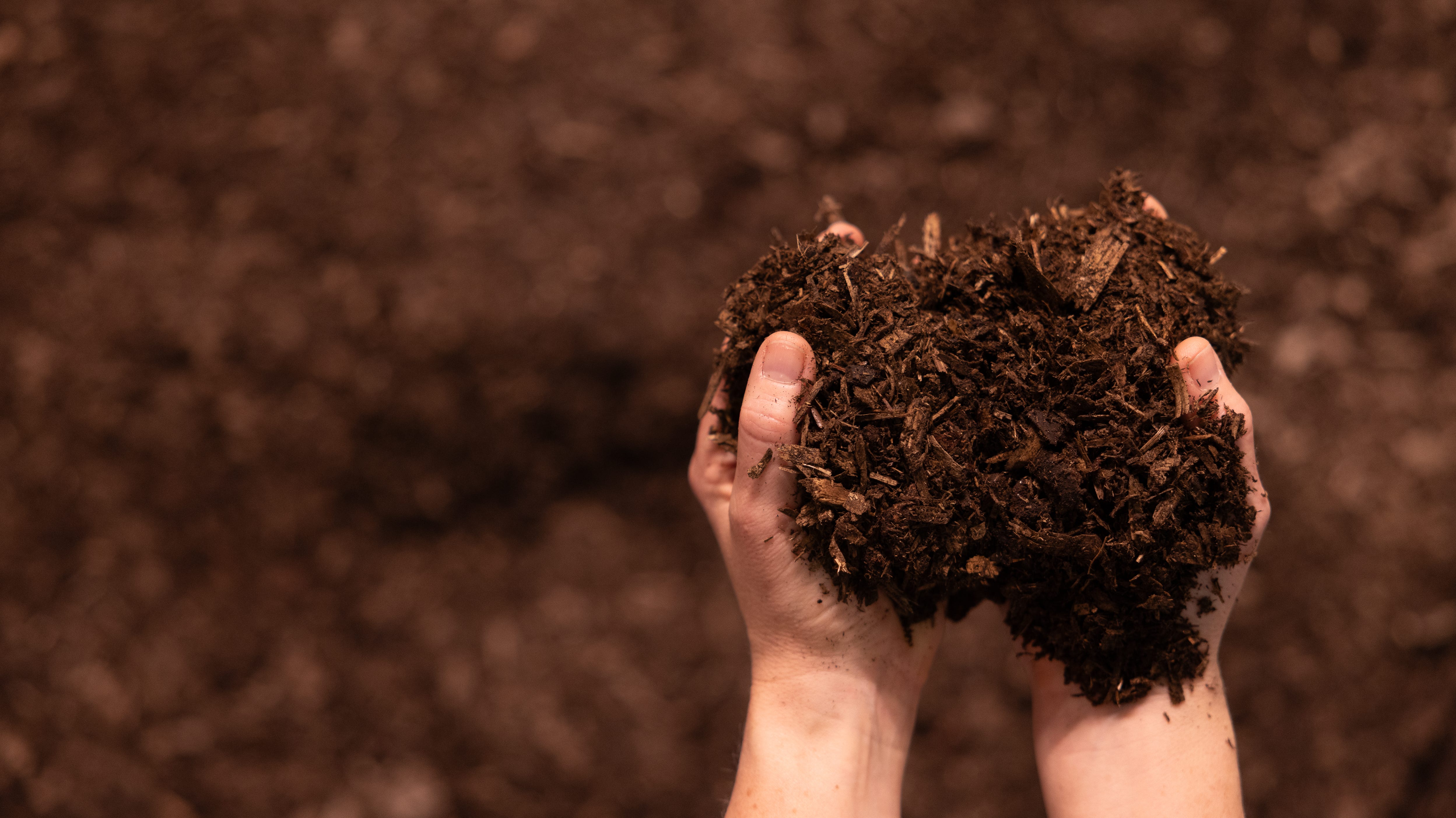 Life after death? States legalize human composting.