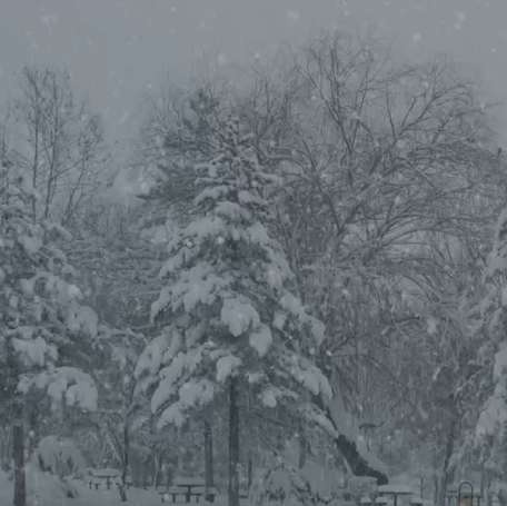 Farmers' Almanac thumb