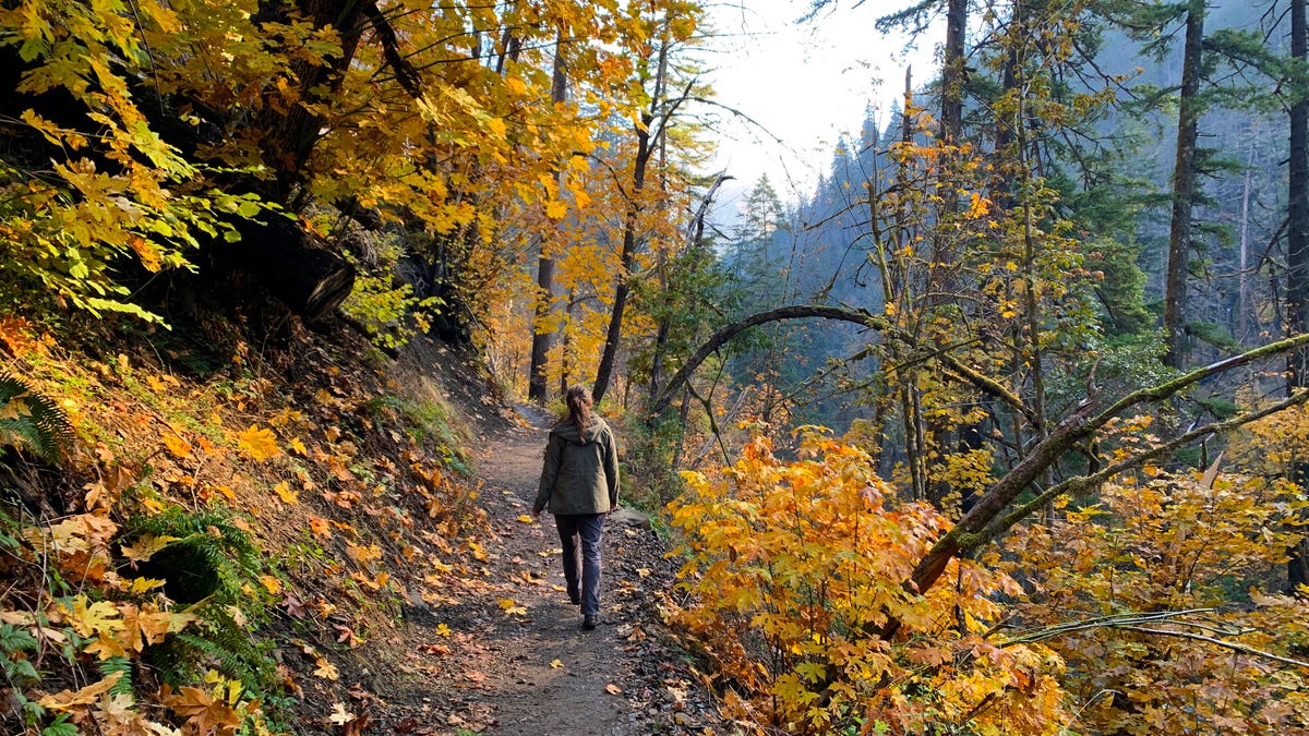 6. Columbia River Gorge, Oregon  Throughout the year, the Columbia River Gorge is stunning, but the forests become truly vibrant in the fall. Travelers can hike to waterfalls or go on romantic horseback rides to experience the fall colors.