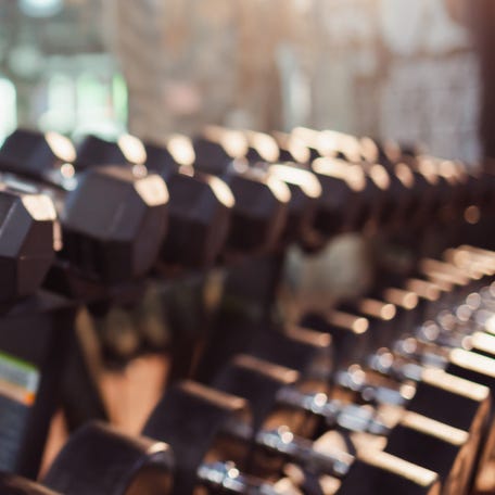 A row of dumbbells in the gym.